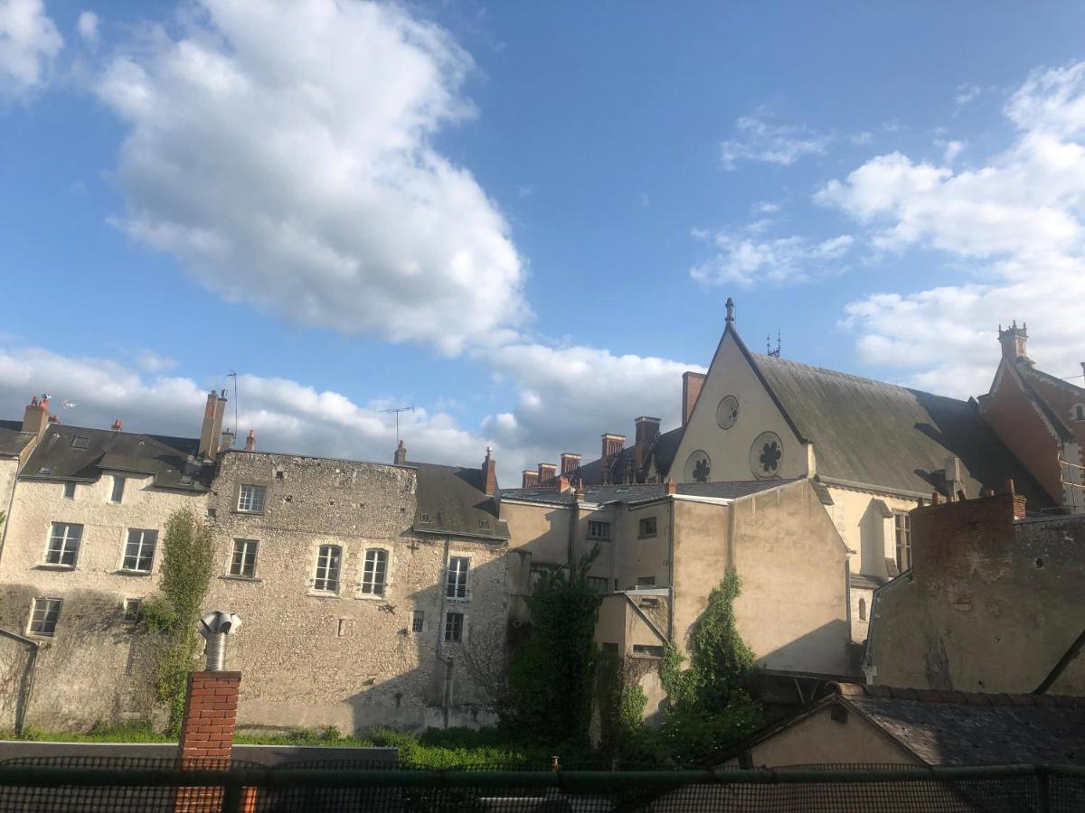 Cote Chateau - Grand Appartement Au Coeur De Blois Zewnętrze zdjęcie