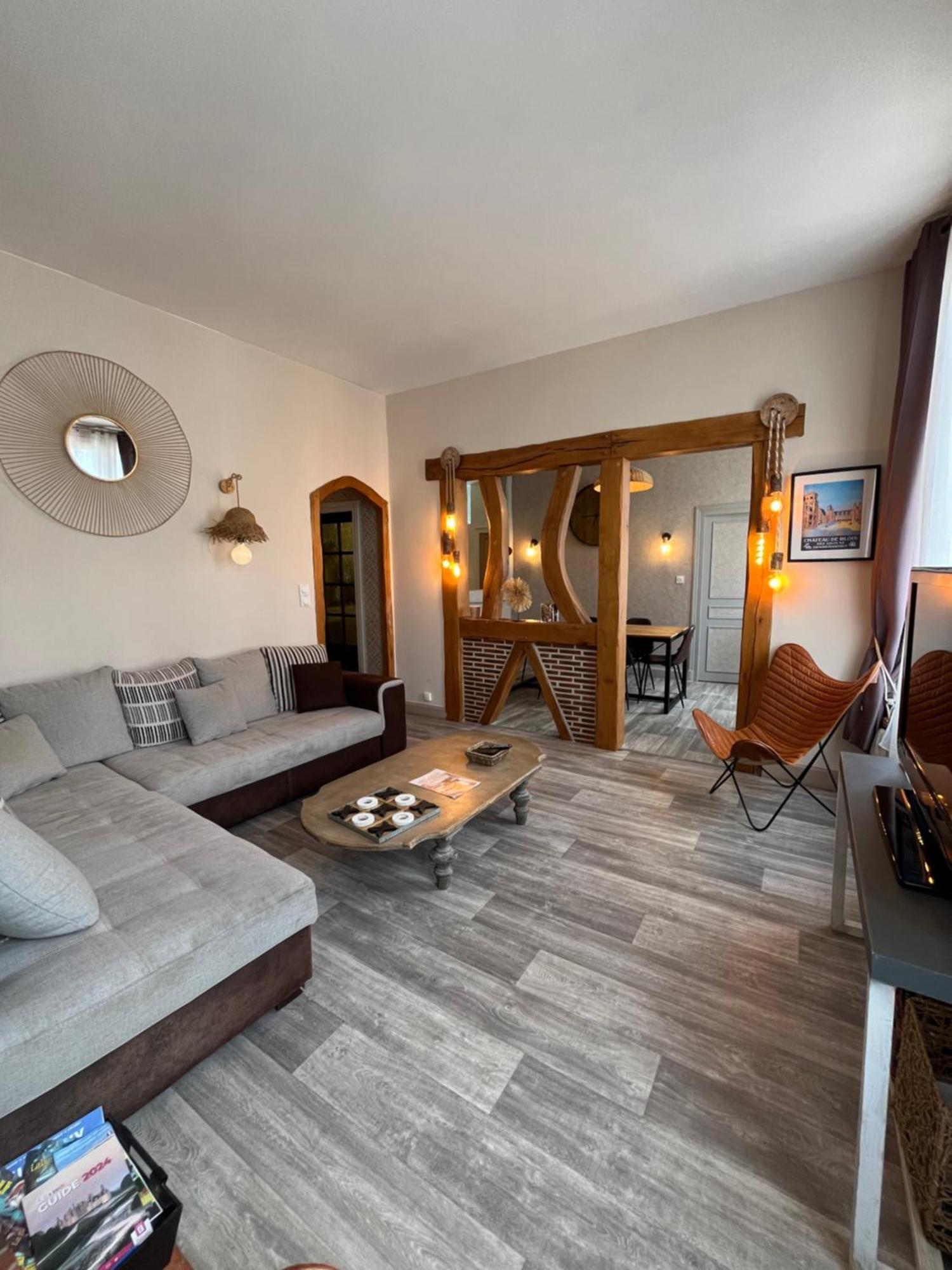 Cote Chateau - Grand Appartement Au Coeur De Blois Zewnętrze zdjęcie